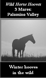3mares.gif